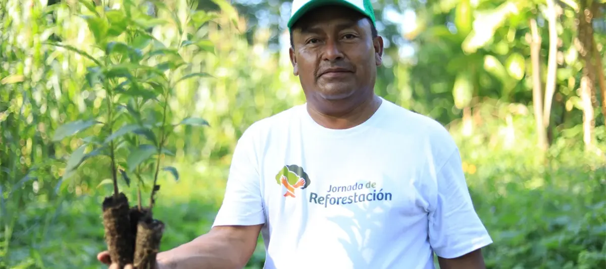 Gobierno actualiza cifras, jornada de reforestación superó los 2.7 millones de árboles