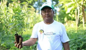 Gobierno actualiza cifras, jornada de reforestación superó los 2.7 millones de árboles