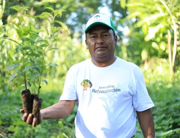 Gobierno actualiza cifras, jornada de reforestación superó los 2.7 millones de árboles