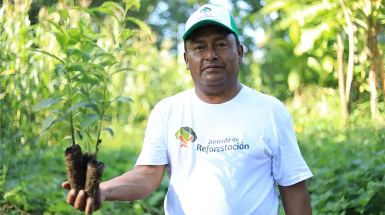 Gobierno actualiza cifras, jornada de reforestación superó los 2.7 millones de árboles