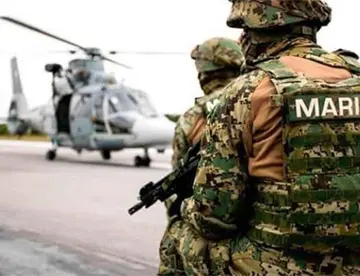 Comisión de Marina aprueba nueva Ley Orgánica de la Armada de México