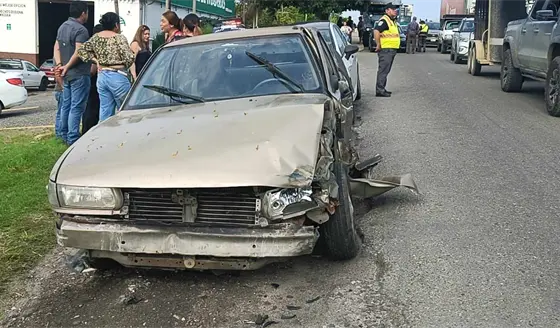 Góndola arrastra a Tsuru en el puente Los Monos