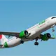 Retomará Viva Aerobús ruta Tampico – Villahermosa