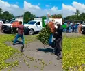 Productores de limón de Apatzingán tiran kilos de limón en protesta a los bajos precios del producto