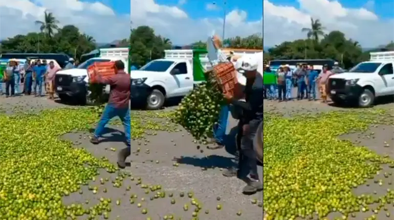 Productores de limón de Apatzingán tiran kilos de limón en protesta a los bajos precios del producto