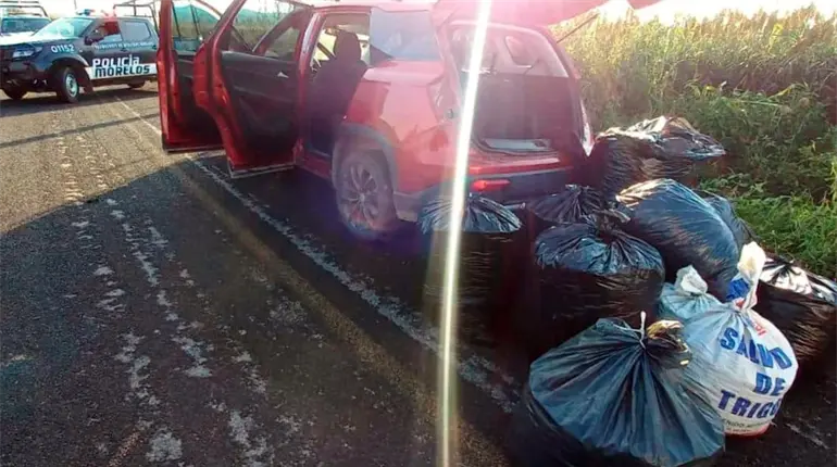 Elementos federales aseguran camioneta con 200 kilos de marihuana en Morelos