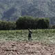UNAM reúne 65 toneladas de ayuda para damnificados por lluvias