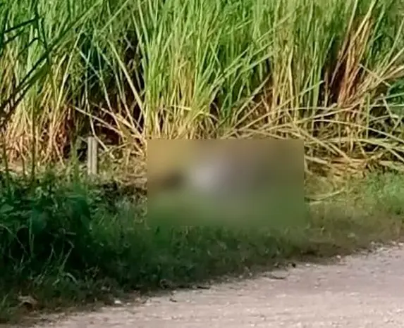 Localizan hombre sin vida y maniatado en Cárdenas