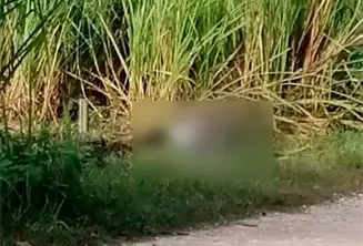 Localizan hombre sin vida y maniatado en Cárdenas