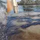 Tras derrame en río, Pemex concluye reparación de tubería dañada por lluvias en Veracruz