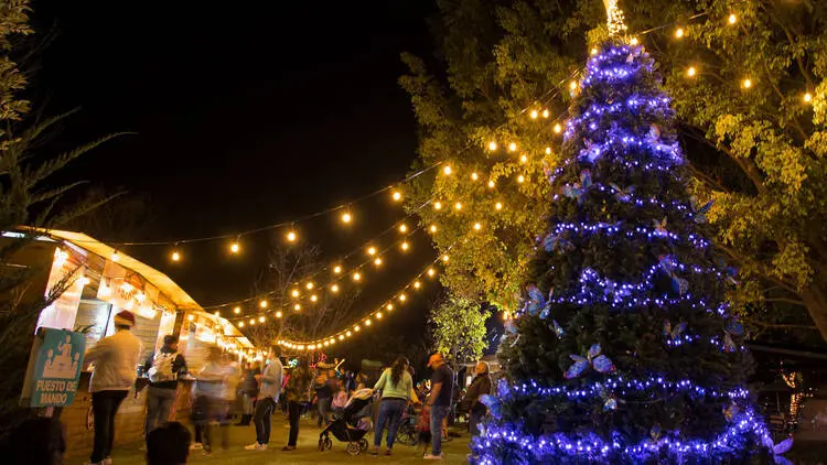 Habrá Festival Navideño y otras actividades de fin de año: Gobernador de Tabasco