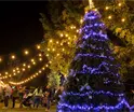 Habrá Festival Navideño y otras actividades de fin de año: Gobernador de Tabasco