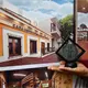 Propone Morena instaurar en Tabasco, el 12 de octubre como Día Estatal del Árbol