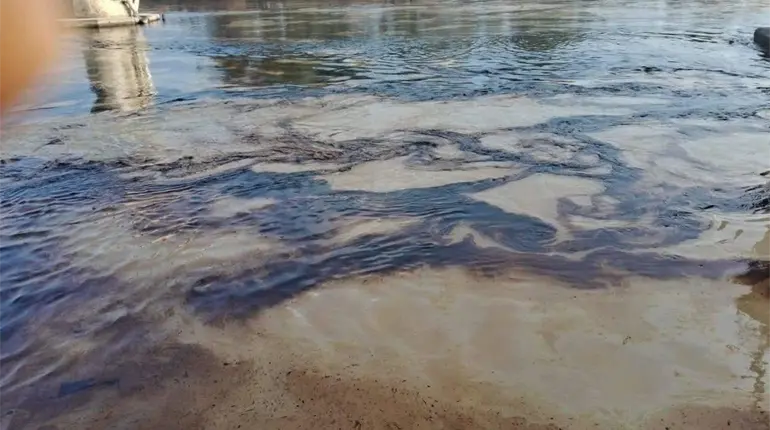 Ducto afectado por lluvias en Veracruz, provoca derrame de hidrocarburo en ríos Pantepec y Tuxpan