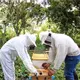 Tabasqueños crean tecnología ética y avanzada para extracción de apitoxina sin dañar a las abejas