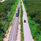 Confirma Tribunal Internacional que Tren Maya cometió ecocidio y etnocidio