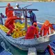 Se logra acceso a totalidad de localidades afectadas por lluvias; cifra de muertes crece a 79: CNPC