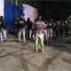 Muere atropellada en la Villahermosa– Teapa; detienen al conductor