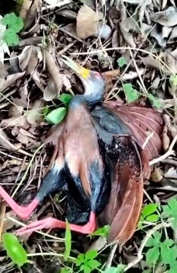 imagen-cuerpo imagen-cuerpo