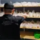 Capturan en Huimanguillo a dos hombres por portación de drogas y armas de fuego