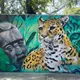 El arte urbano en Tabasco ya no lo van a erradicar: Oliver Trauma