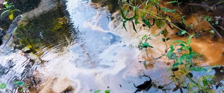 imagen-cuerpo imagen-cuerpo