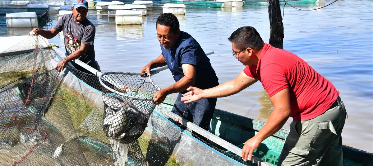 ´Sembrando Vida´ ya ha comenzado a dejar ingresos importantes a pescadores: Gobernador de Tabasco