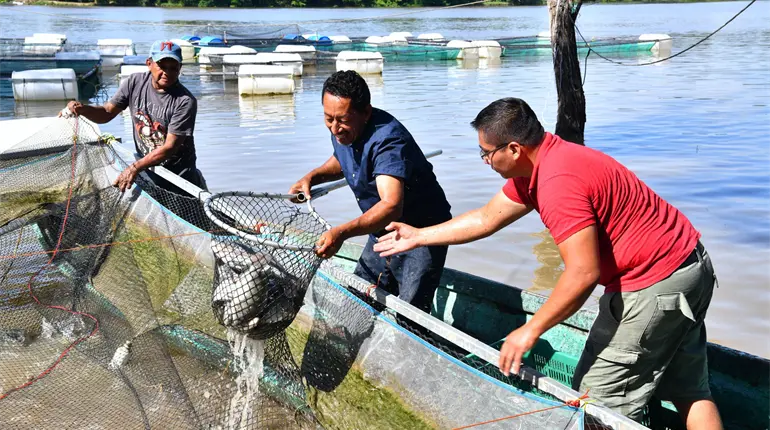 ´Sembrando Vida´ ya ha comenzado a dejar ingresos importantes a pescadores: Gobernador de Tabasco