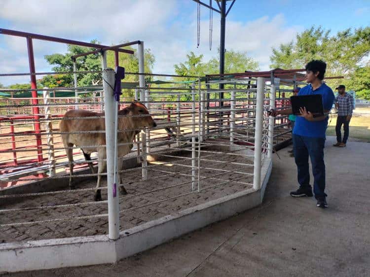 imagen-cuerpo imagen-cuerpo