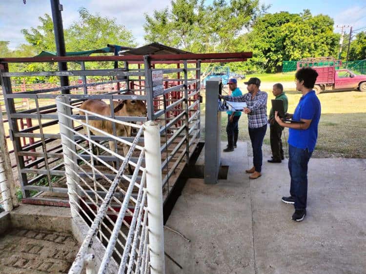 imagen-cuerpo imagen-cuerpo