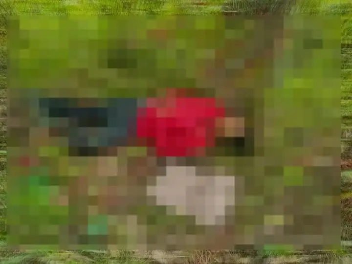 Hallan hombre sin vida en Macuspana; junto al cuerpo dejan cartulina con amenaza