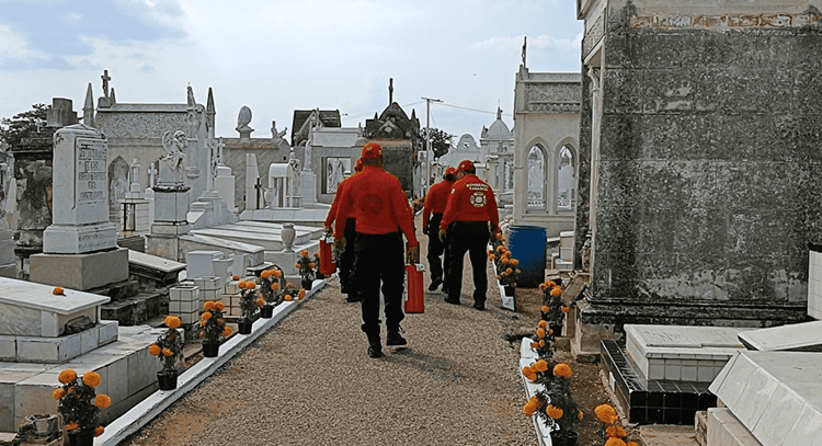 imagen-cuerpo imagen-cuerpo