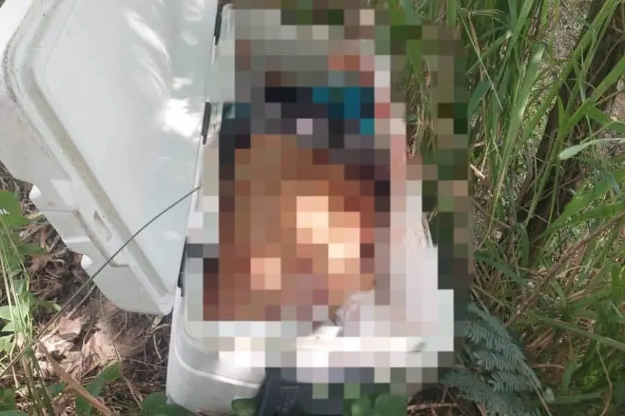 Hallan nevera con restos humanos en ranchería El Espino