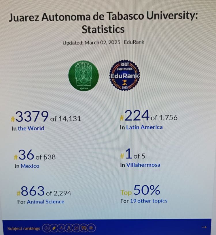 imagen-cuerpo imagen-cuerpo