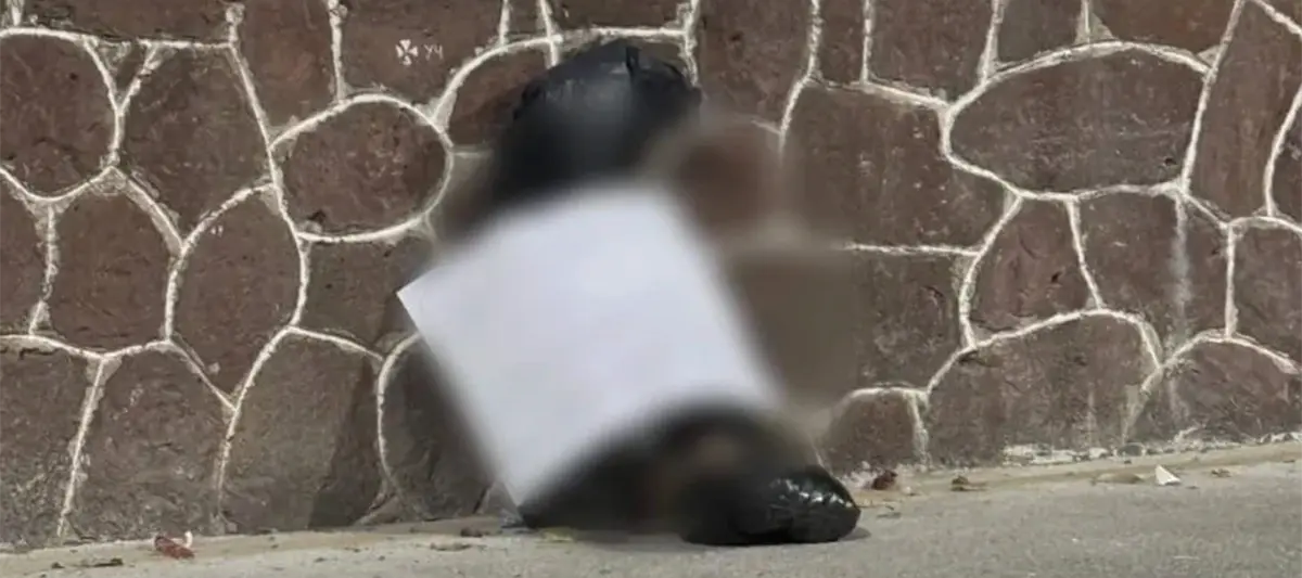 Capturan a jóvenes por abandonar falso cuerpo en Hidalgo