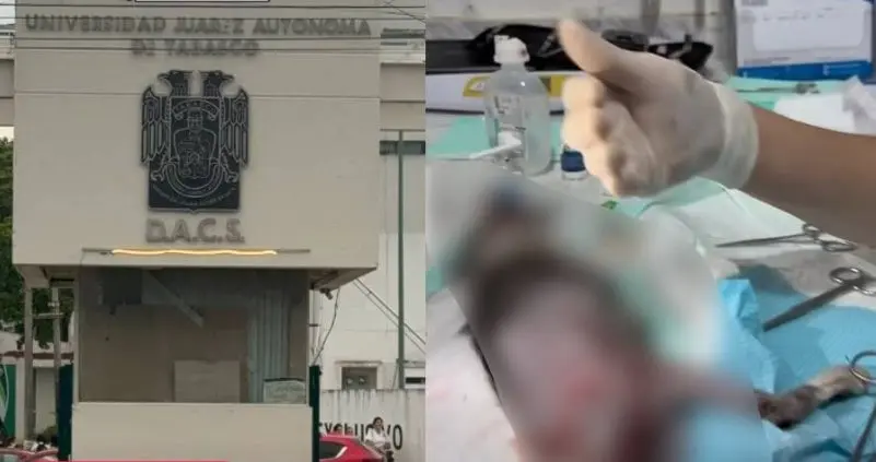 Denuncian presunto caso de maltrato animal en la DACS; se procederá con rigor, dice la UJAT