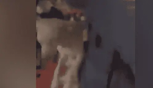 Captan a estudiantes del Cetis 40 de Cunduacán maltratando a perro