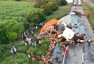Rapiñan tráiler con cervezas tras volcar en la vía Córdoba – Veracruz