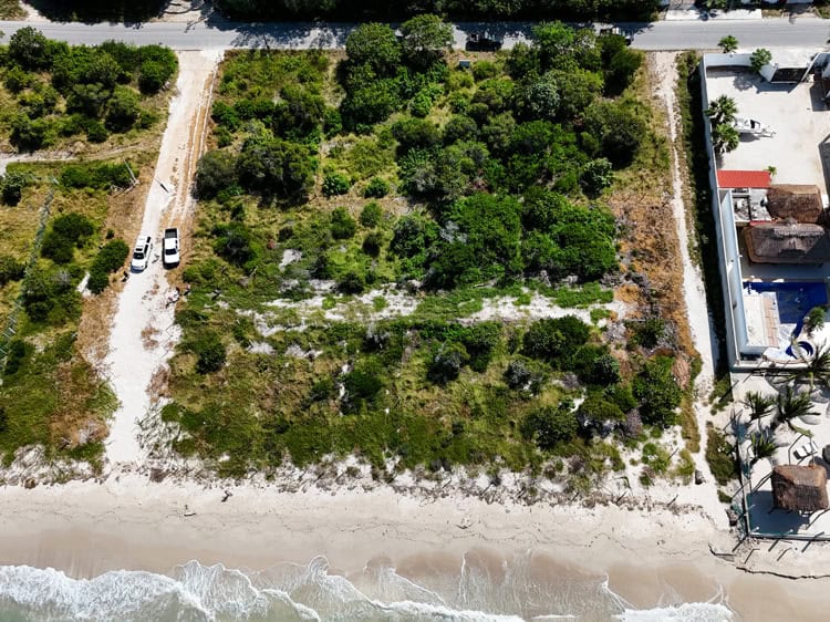 imagen-cuerpo imagen-cuerpo