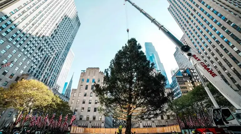 Llega el árbol de Navidad al Rockefeller Center en NY