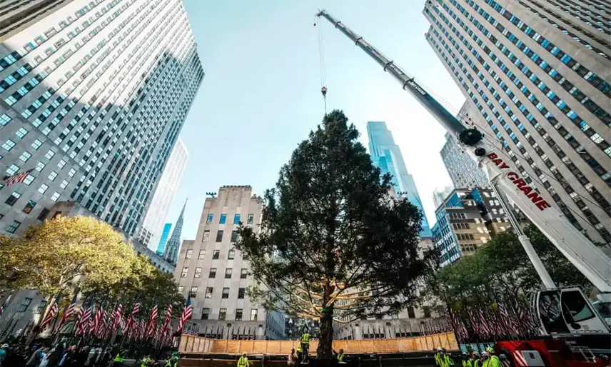 Llega el árbol de Navidad al Rockefeller Center en NY