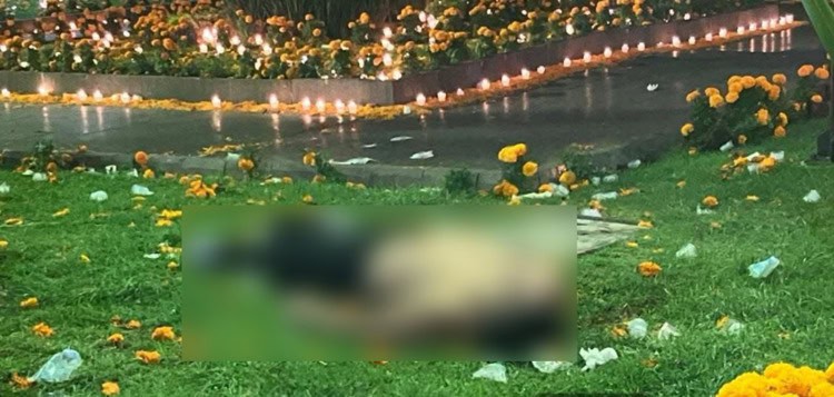 imagen-cuerpo imagen-cuerpo