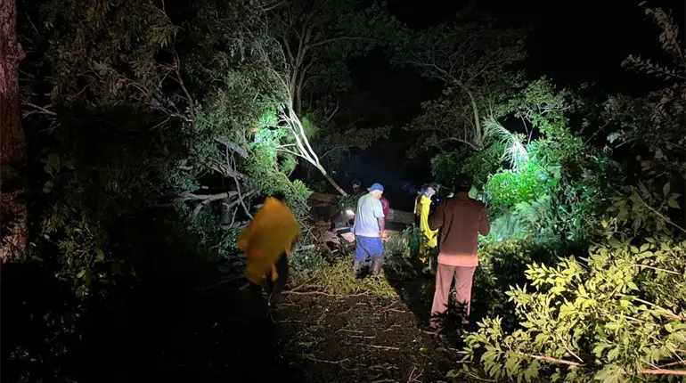 Árboles caídos, vados y encharcamientos dejan lluvias de últimas horas en Tabasco: PC