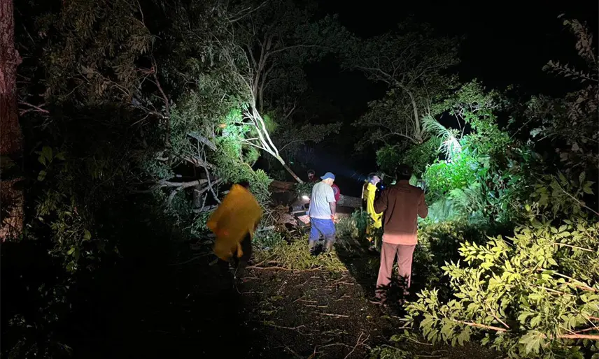 Árboles caídos, vados y encharcamientos dejan lluvias de últimas horas en Tabasco: PC