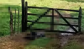 Hallan cuerpo con indicios de violencia y quemaduras en Jalapa