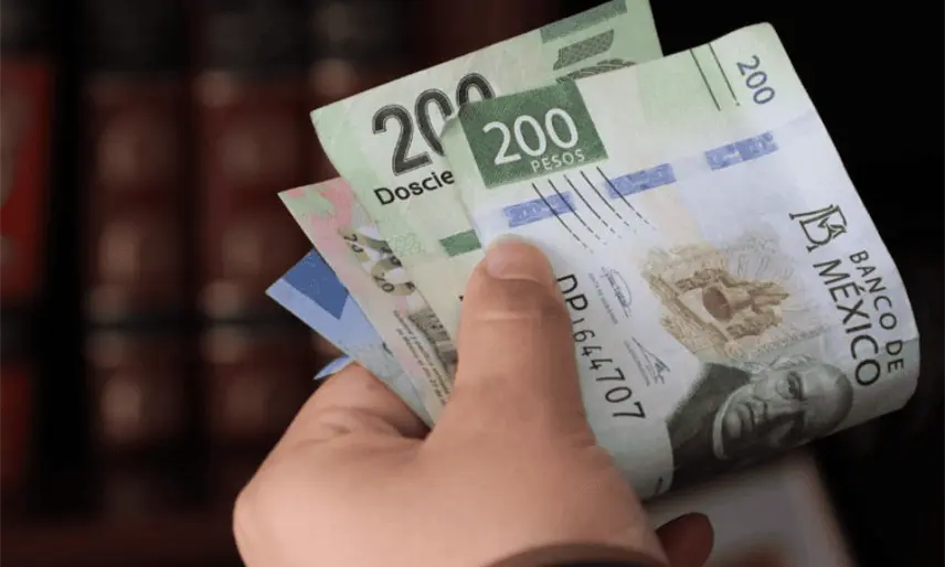 Pese a situación complicada, IP pagará 100% de prestaciones de fin de año: CCET