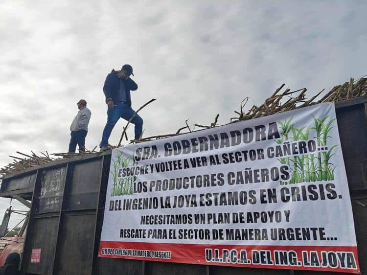 imagen-cuerpo imagen-cuerpo