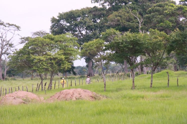 imagen-cuerpo imagen-cuerpo