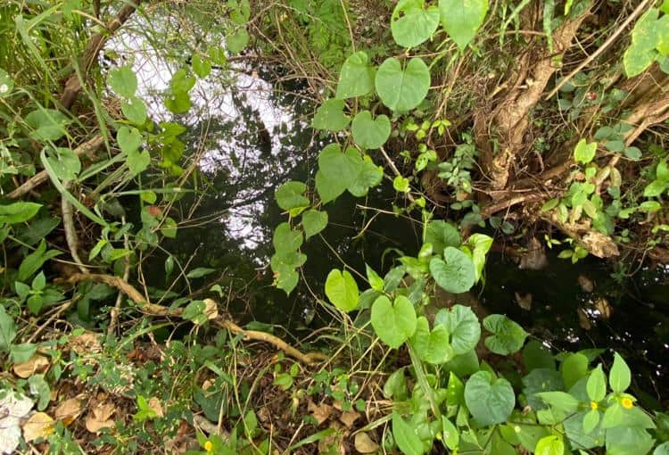 imagen-cuerpo imagen-cuerpo