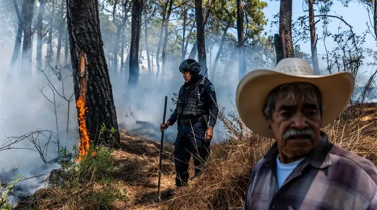 ¡Regresan extorsiones a Michoacán! Ambientalistas señalan al CJNG